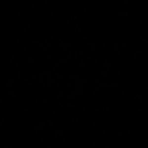 Meet your Posher, Hampton